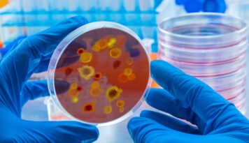 Lo que debes Saber acerca del dengue