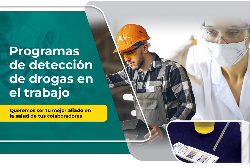 Proquimed Laboratorio Clínico - Programas de Detección de Drogas en el Trabajo |  &  _